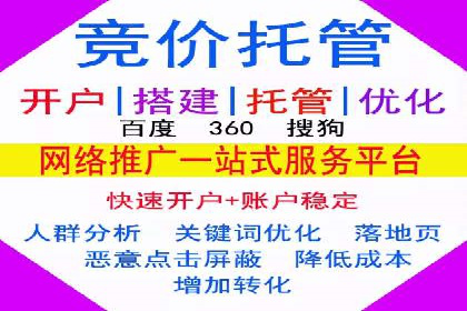 某企业通过SEM实现品牌与销售双增长的案例